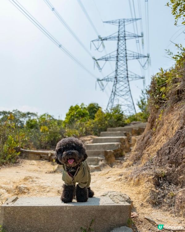 港版千島湖🏞️初級行山路線+水塘美景