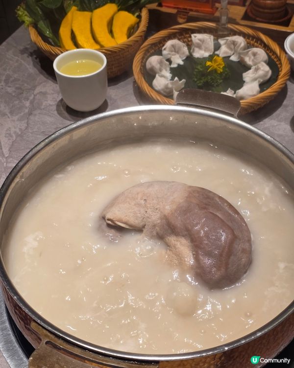 📍深圳必吃! 順德公肚包佛跳牆極致鮮味! 