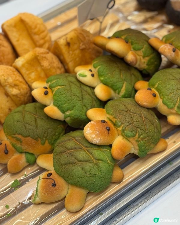 必吃木子烘焙👍超可愛的抹茶烏龜包💚