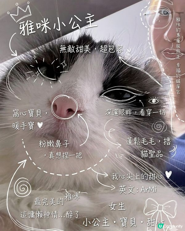 AI出圖 真好玩