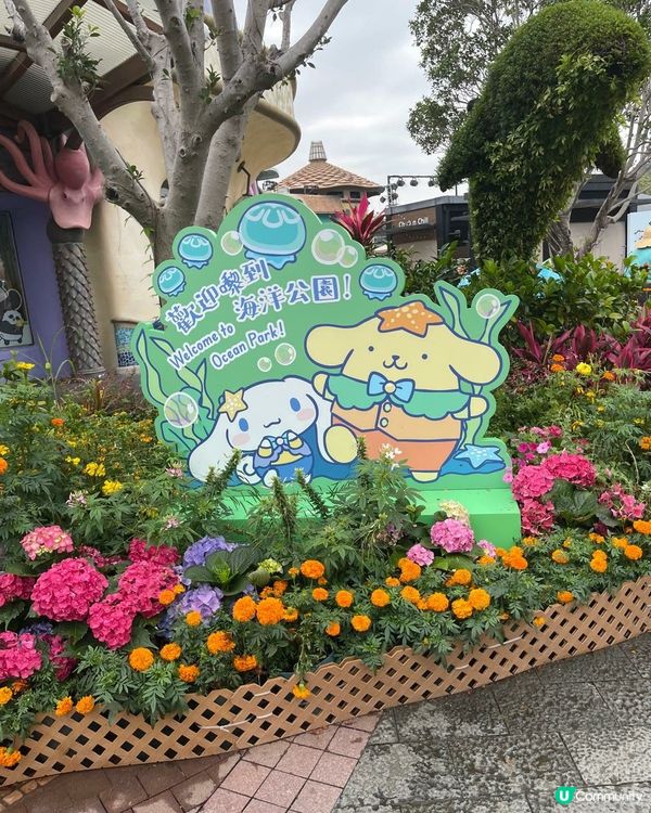 Pompompurin（布丁狗）