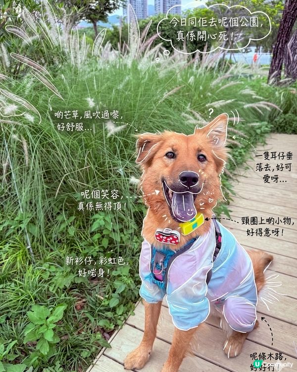 開心出遊！彭福放電 🌳☀️😎