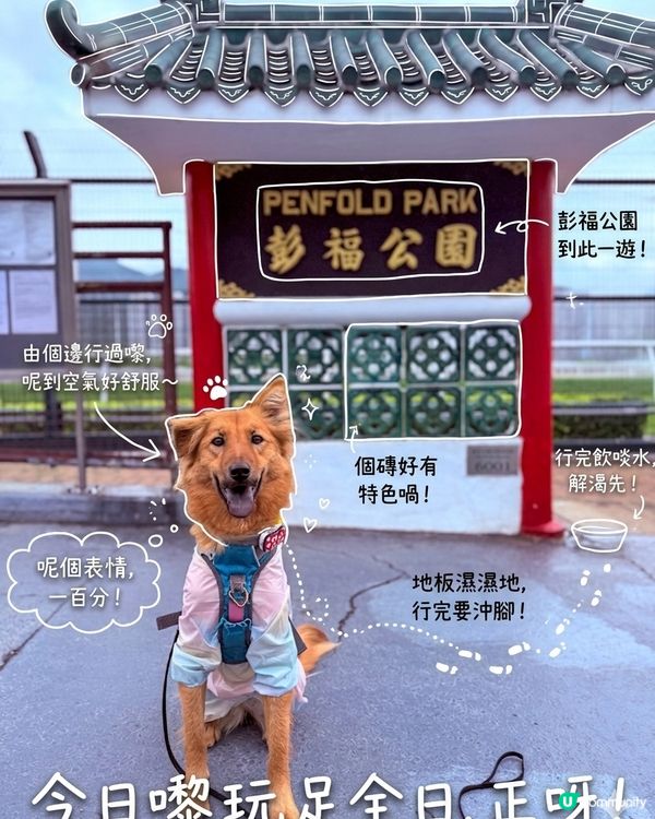 開心出遊！彭福放電 🌳☀️😎