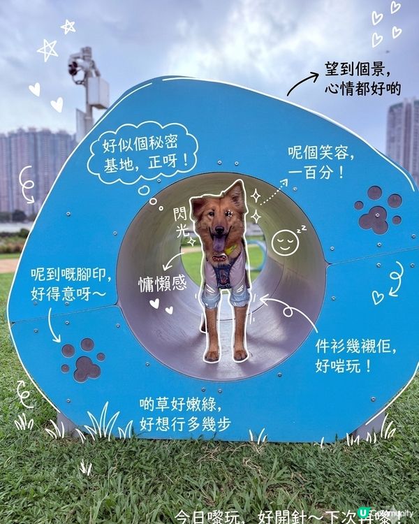 開心出遊！彭福放電 🌳☀️😎