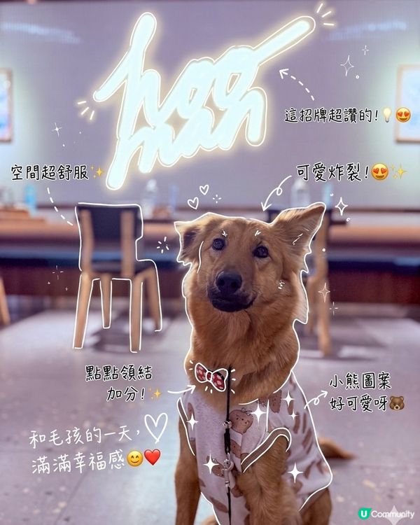 帶Moon去南豐紗廠Chill一晚～🐶✨