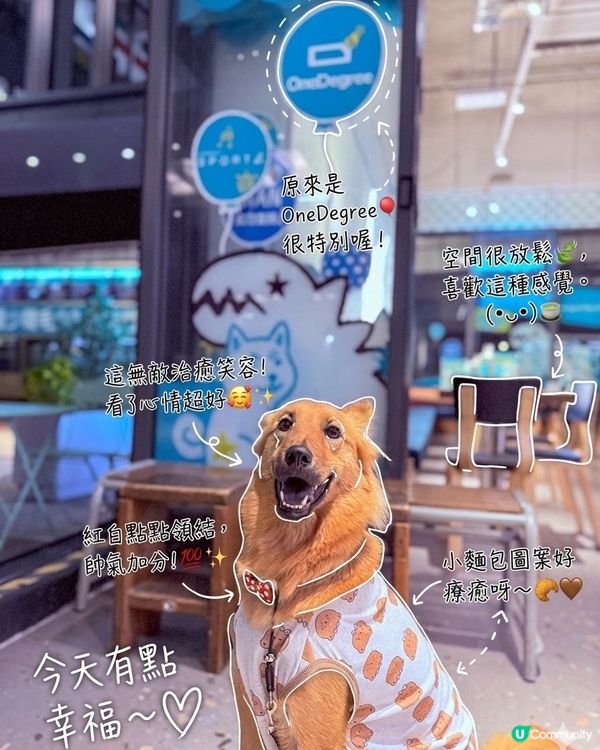 帶Moon去南豐紗廠Chill一晚～🐶✨