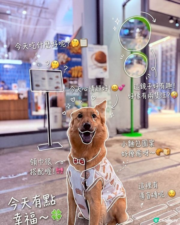 帶Moon去南豐紗廠Chill一晚～🐶✨