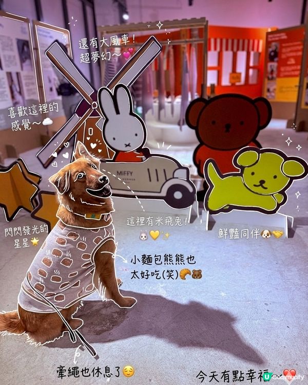 帶Moon去南豐紗廠Chill一晚～🐶✨