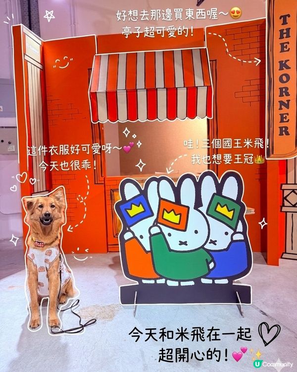 帶Moon去南豐紗廠Chill一晚～🐶✨