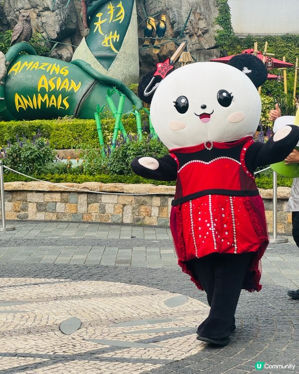 海洋公園搵Sanrio characters打卡😍