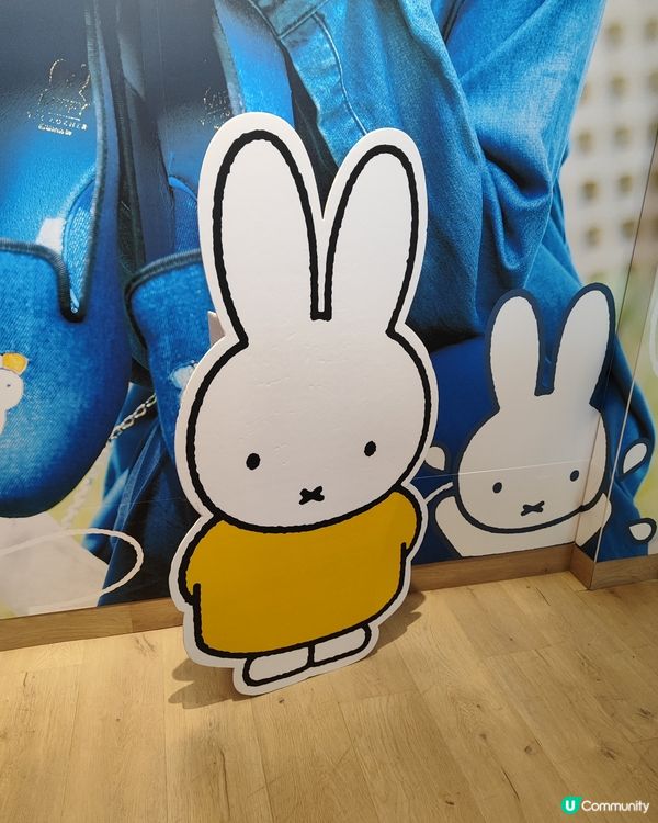 Miffy 🐰超！萌！兔！🛍️🥕🍄