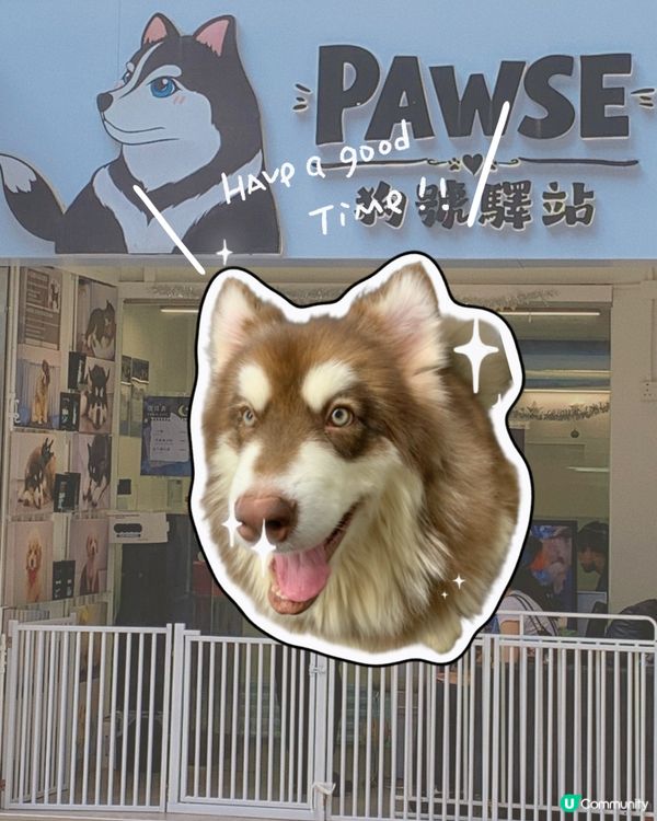 西營盤｜狗狗治癒空間🐶