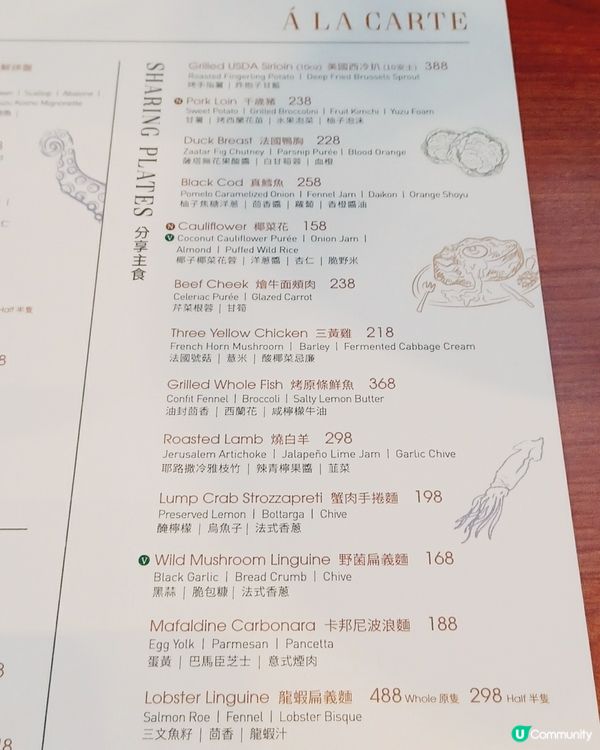 新派玻璃屋．chill餐聽！🤩 🌈