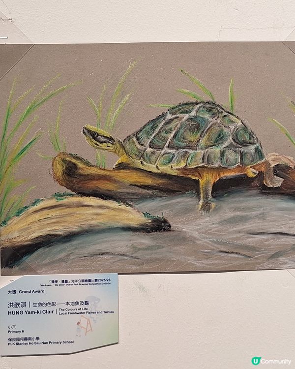 無意中發現一個展覽