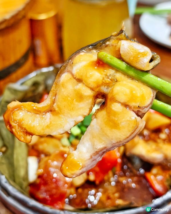 蔡瀾👍推介🥢老港🇭🇰風味