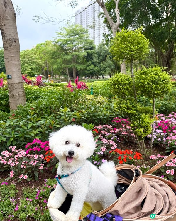 波波遊花園🍃🍃