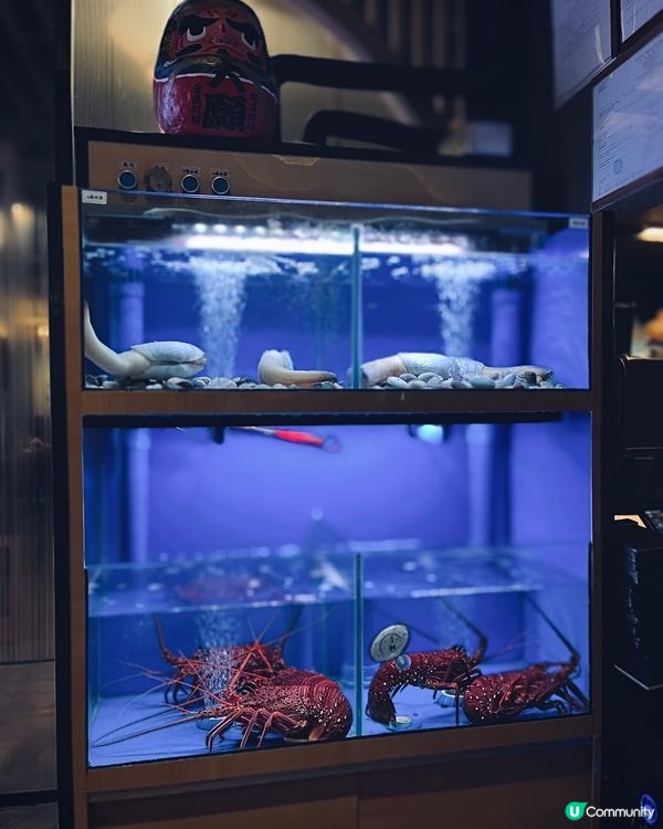 銅鑼灣家賀屋🎉 生日免費畫碟🎂🐟