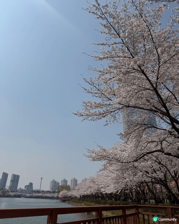 呢度係首爾石村湖！