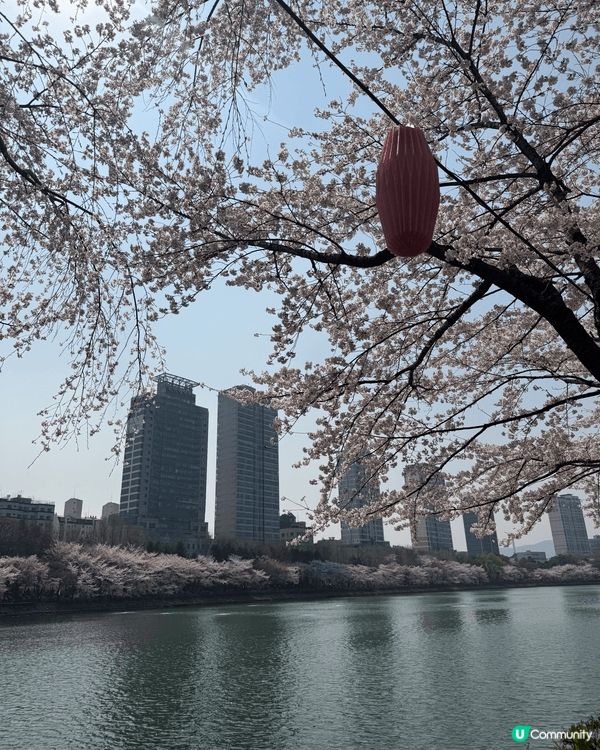 呢度係首爾石村湖！
