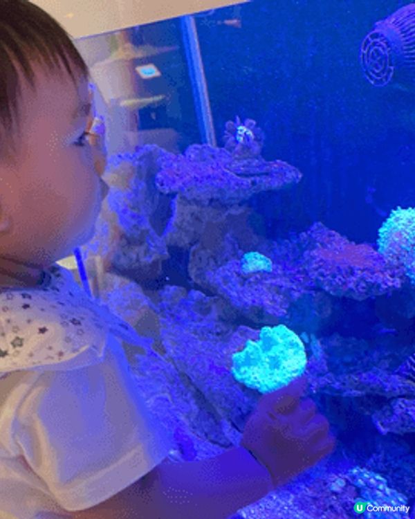 香港科學館，逢星期三免費入場教寶寶認識科學，大自然及生物，放...