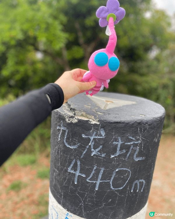 GO PARK西沙係一個老少咸宜既新地方🥳