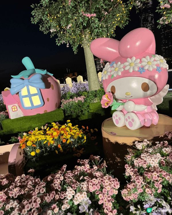 這些照片是在尖沙咀拍攝的，記錄了My Melody 50周年...