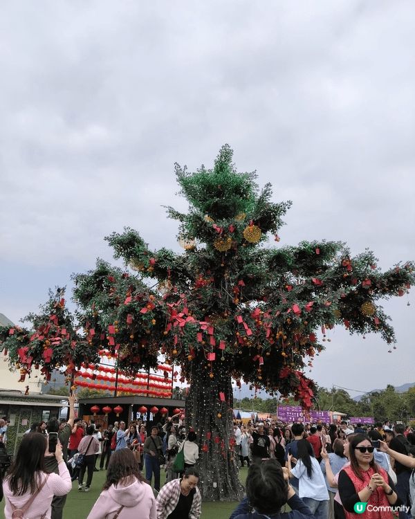 農曆新年去林村打卡，拋宝碟，許願樹，，非常有新年氣氛#Chi...