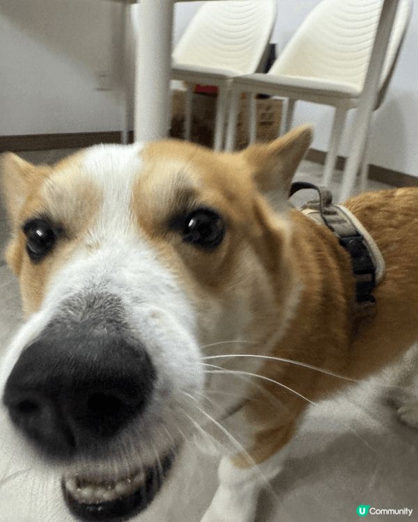 寧波同蘇州 好Comfortable