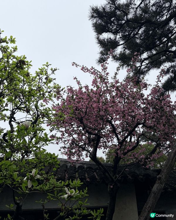 寧波同蘇州 好Comfortable
