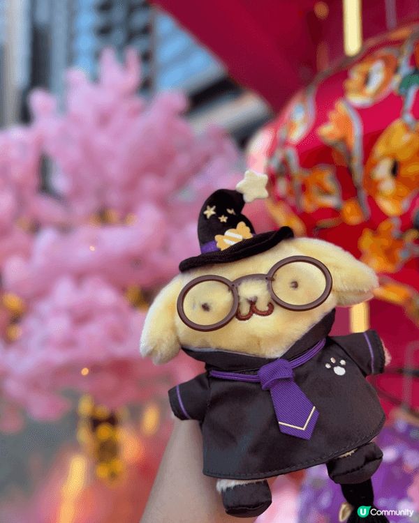 鍾意布丁狗（Pompompurin）嘅原因真係講都講唔完！首...