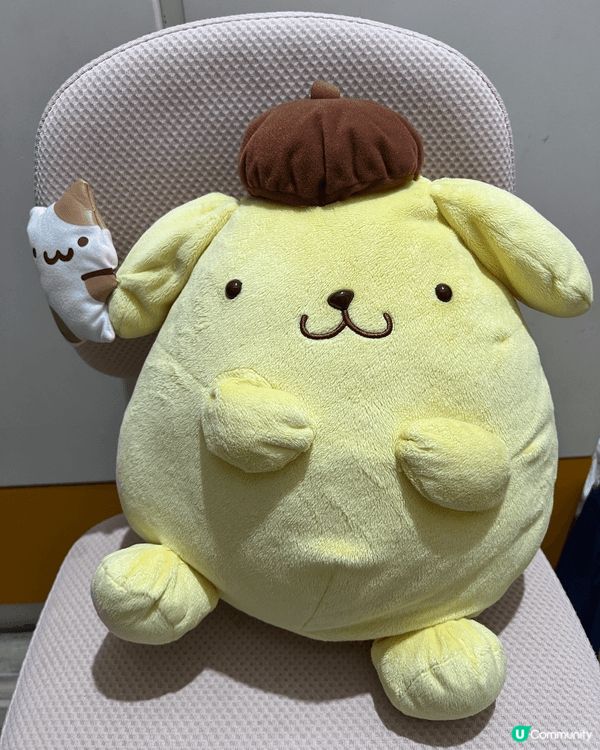 細女超鍾意Pompompurin，覺得佢肥嘟嘟好可愛，日日夜...