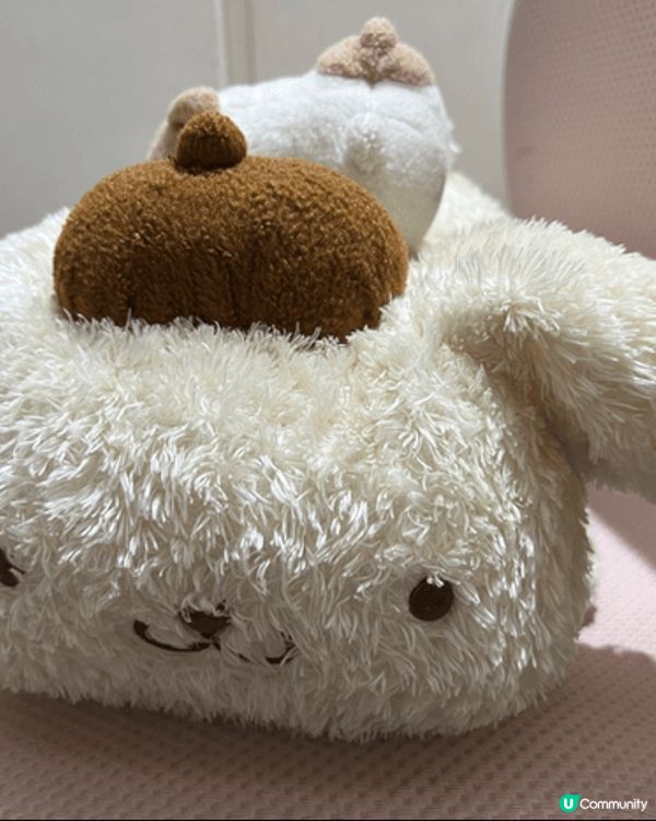 細女超鍾意Pompompurin，覺得佢肥嘟嘟好可愛，日日夜...