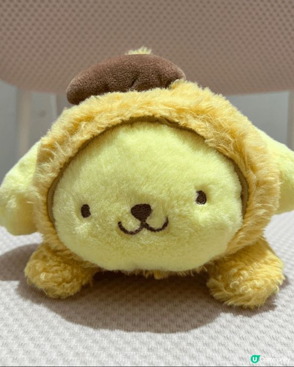 細女超鍾意Pompompurin，覺得佢肥嘟嘟好可愛，日日夜...