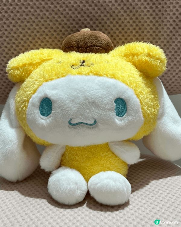 細女超鍾意Pompompurin，覺得佢肥嘟嘟好可愛，日日夜...