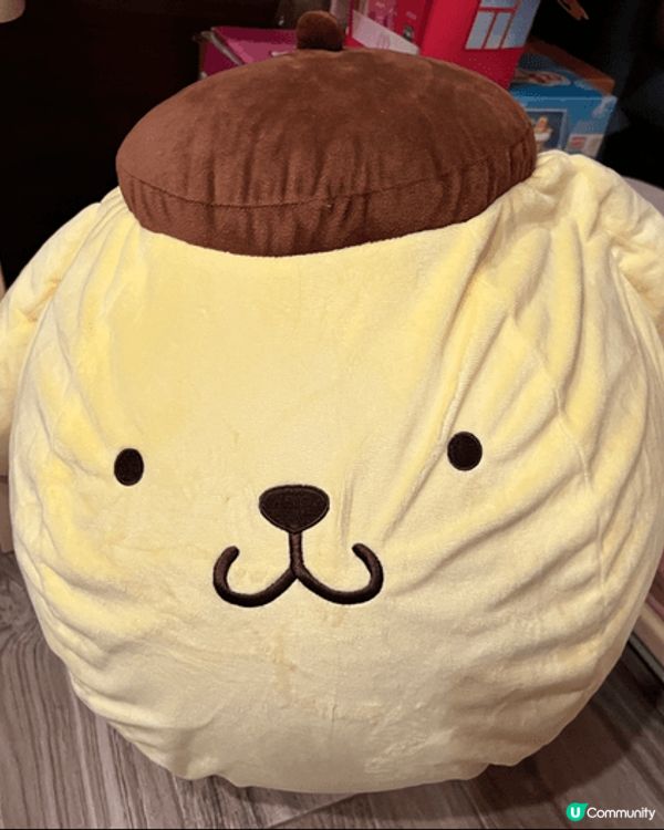 細女超鍾意Pompompurin，覺得佢肥嘟嘟好可愛，日日夜...