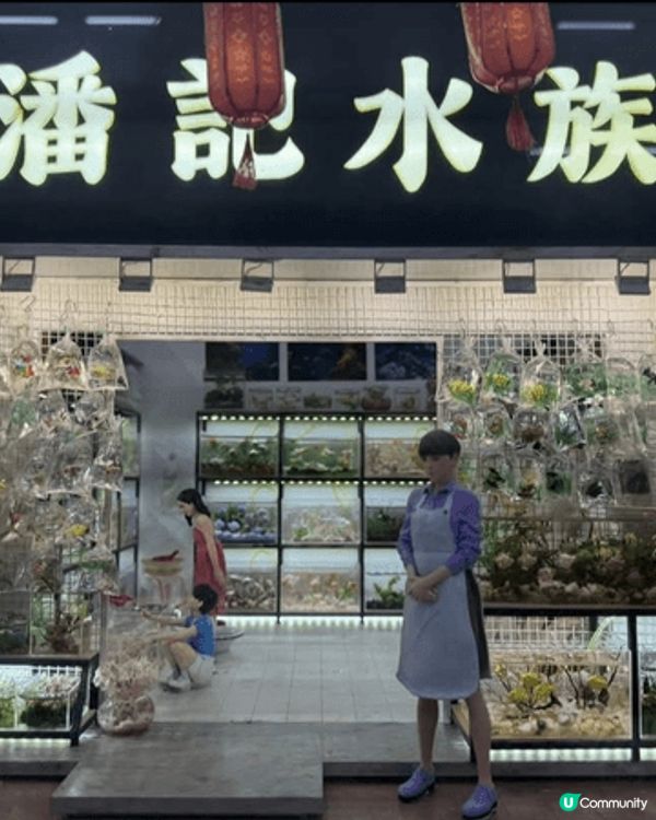 雖然香港花展已過了展期，但都要簡單介紹吓，尤其是微型展覽👍🏻...