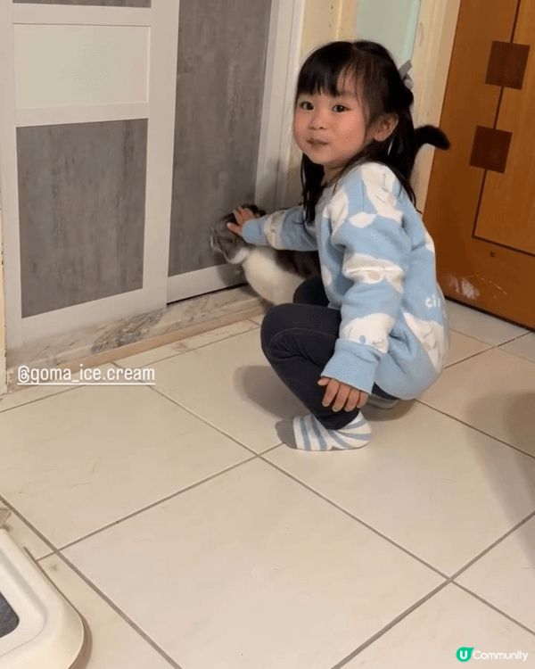玥玥最鐘意既Sanrio 角色就係玉桂狗，因為媽咪本身就玉桂...