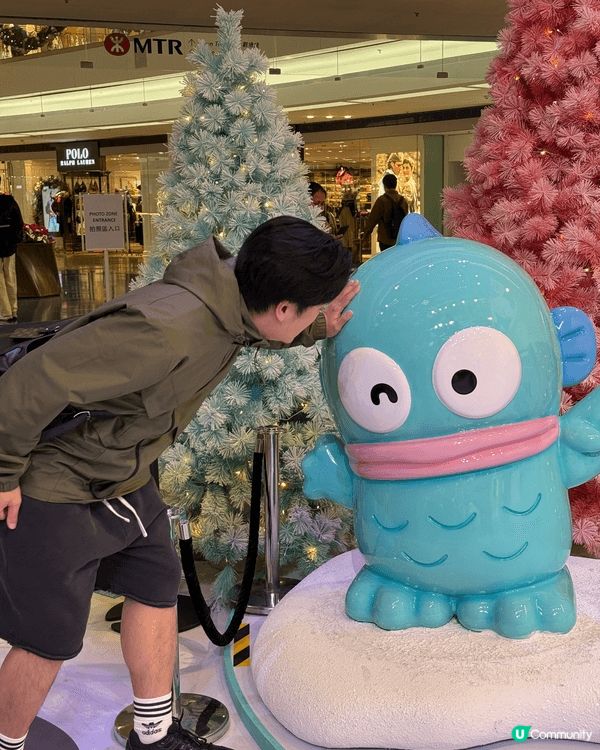 因為Hangyodon搞笑可愛，又有少少孤獨感，好有個性。