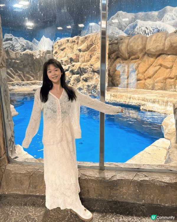 第一来香港去了海洋公园玩，还有好多地方没玩到，真滴好好玩、好...