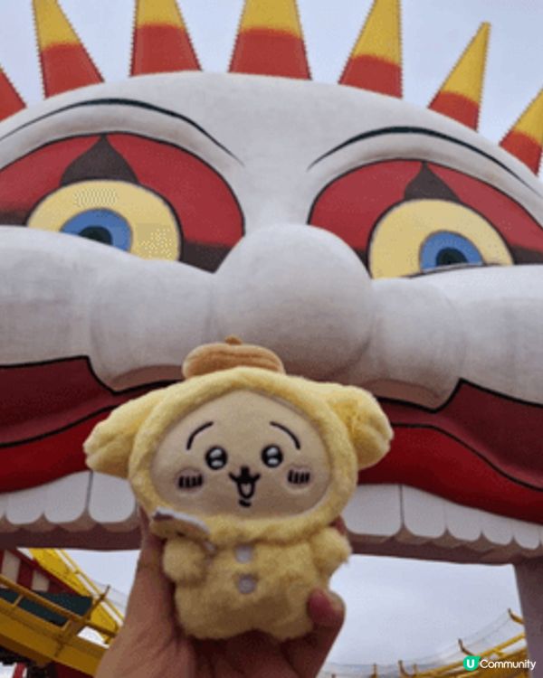 推介香港海洋公園，同可愛布甸狗打咭。