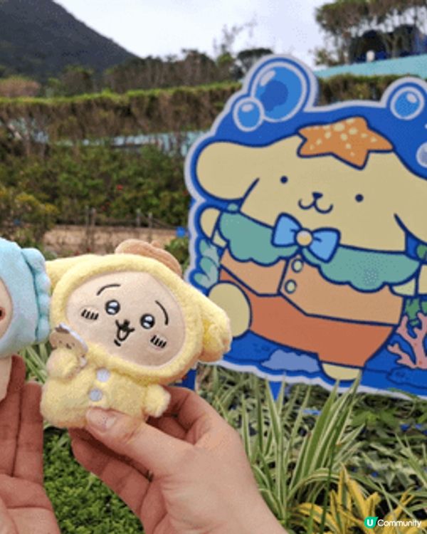 推介香港海洋公園，同可愛布甸狗打咭。