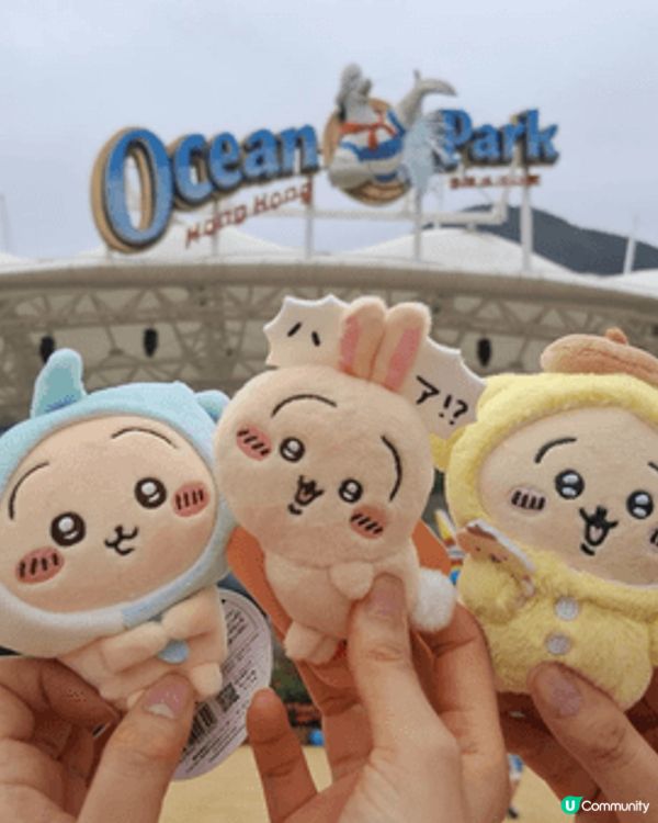 推介香港海洋公園，同可愛布甸狗打咭。