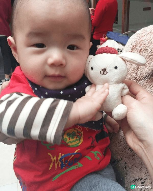 我最喜歡布甸狗，每一隻也冇小名，最愛大大和小小：小小帶他周遊...