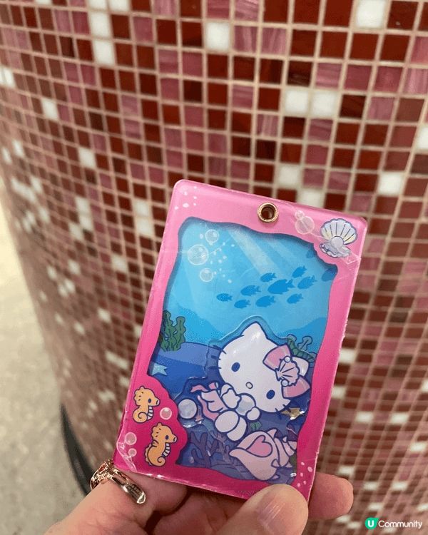海洋公園實在太多種類動物同Sanrio一樣有多種唔同角色，好...
