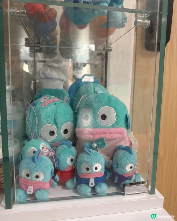 小朋友超級鍾意Sanrio,無論喺去邊一個地方一見到sanr...