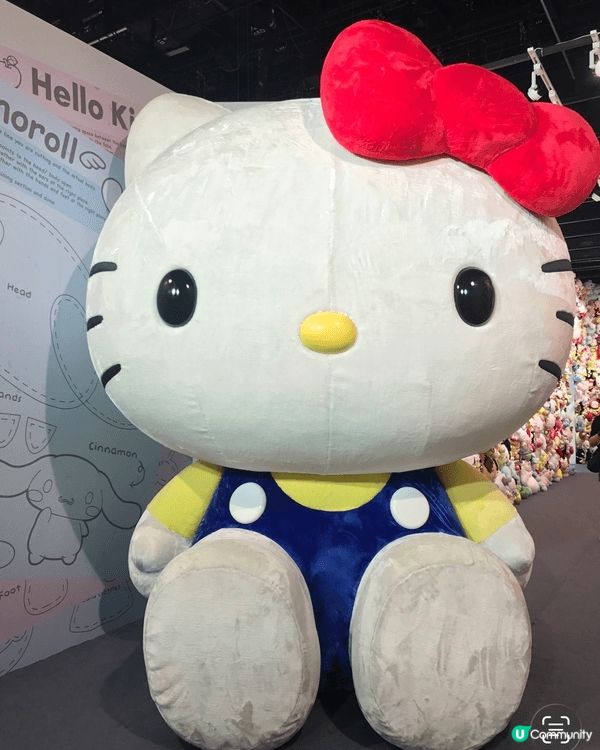 喜歡Sanrio 角色係因為啲公仔好得意又靚，平時都習慣去S...