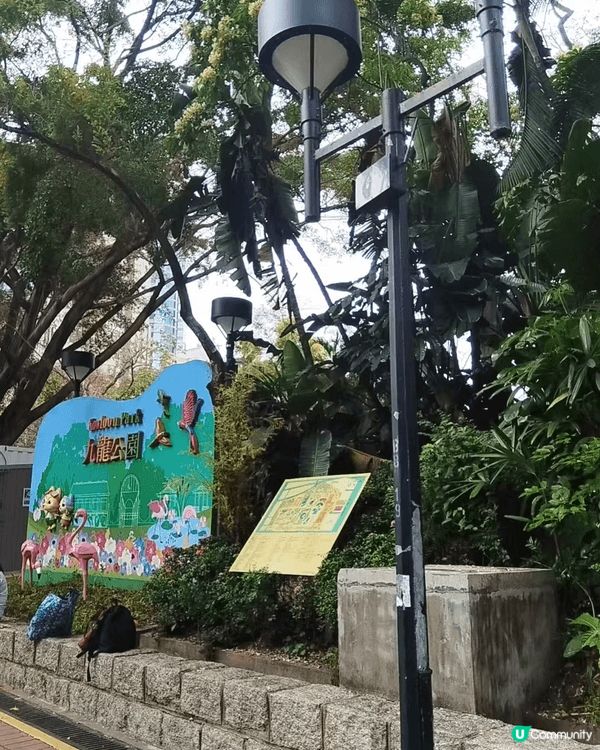 九龍公園算是不錯既地點！園內紅鶴值得去看看的打卡點！