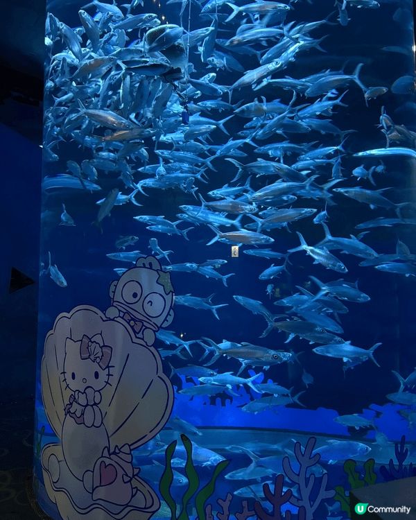 海洋公園Sanrio 蔚藍海洋之旅活動 ，有小朋友喜歡的布甸...
