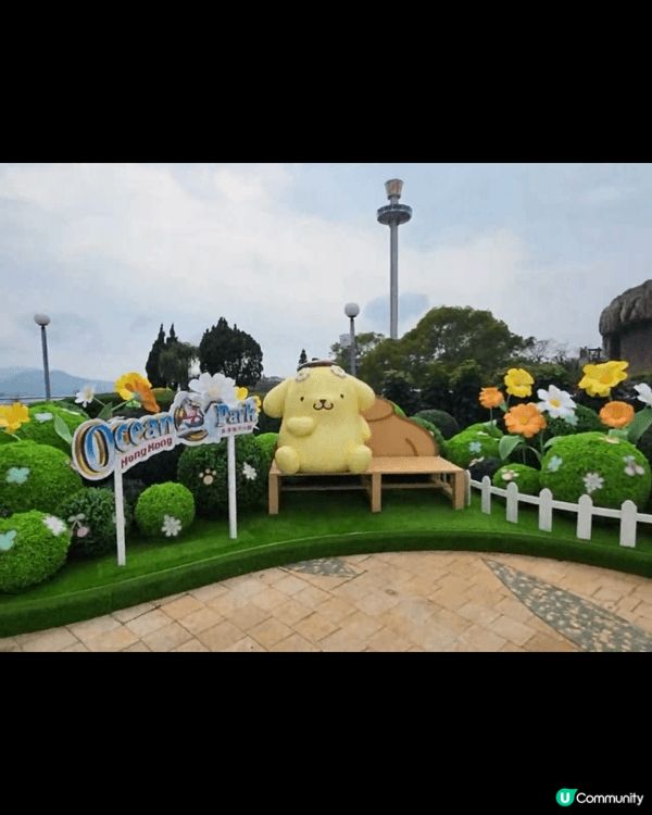這是在海洋公園高峰樂園纜車站廣場拍的，是以布甸狗30週年為主...