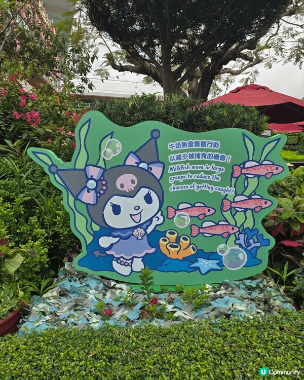 最愛的kuromi 貪玩去了海洋公園, 作為fans 的我當...